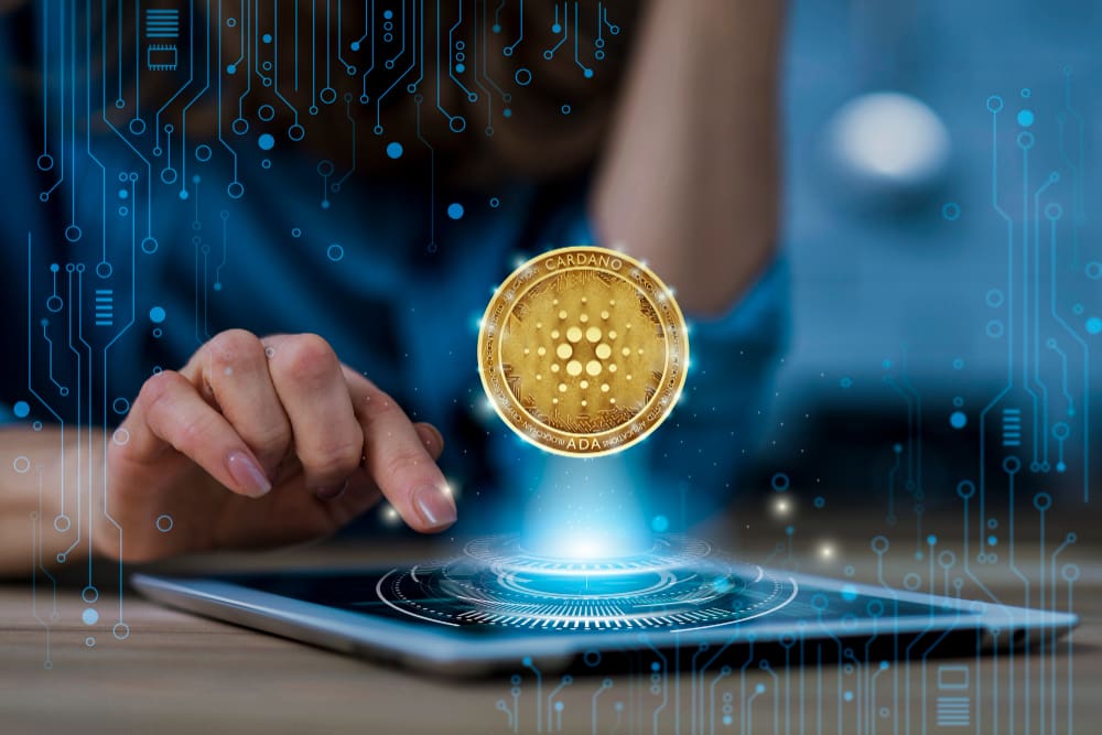 Crypto/Bit Coin/NFT