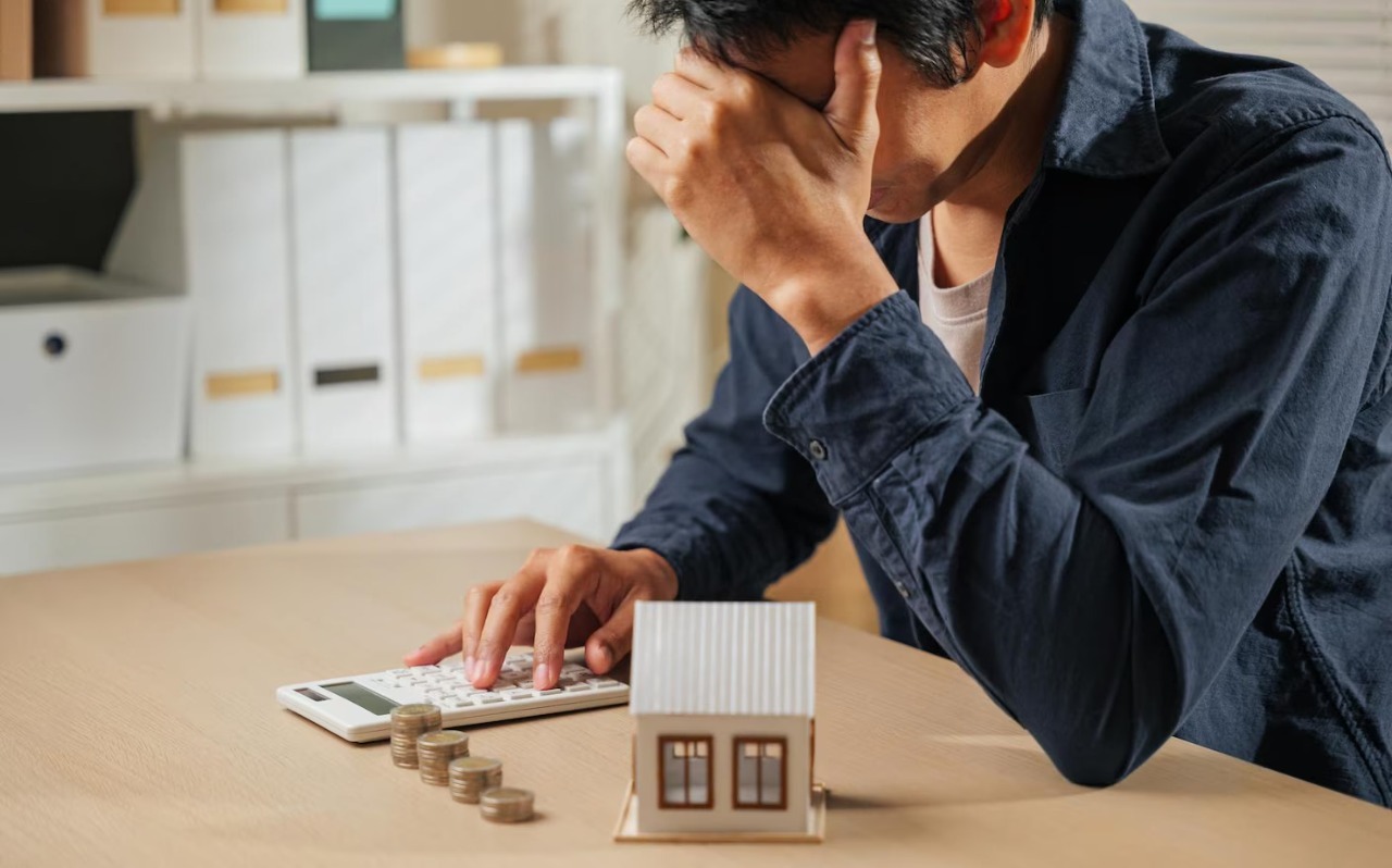 IRS Notices Before a Levy